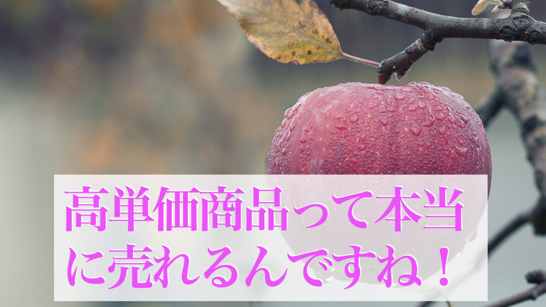 オンラインビジネスで高単価商品が売れる理由　ひとり起業家さん必見のアイデアと戦略の立て方